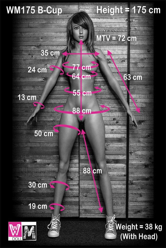 5'9" (175cm) - B-Cup Body - Image 8