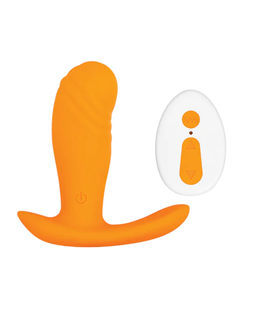Evolved Creamsicle - Orange - Image 5
