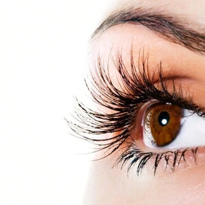 EYE DETAILS / COLORS - Image 2