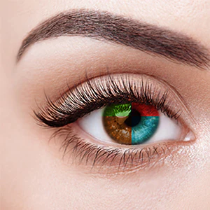 EYE DETAILS / COLORS: - Image 2