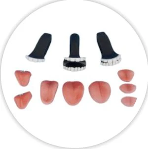 MOUTH OPTIONS: - Image 2