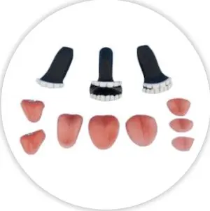 Must Hace Accessories: - Image 5