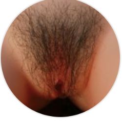 PUBIC HAIRS (Starpery (2024) & Starpery 161H & 168H) - Image 2