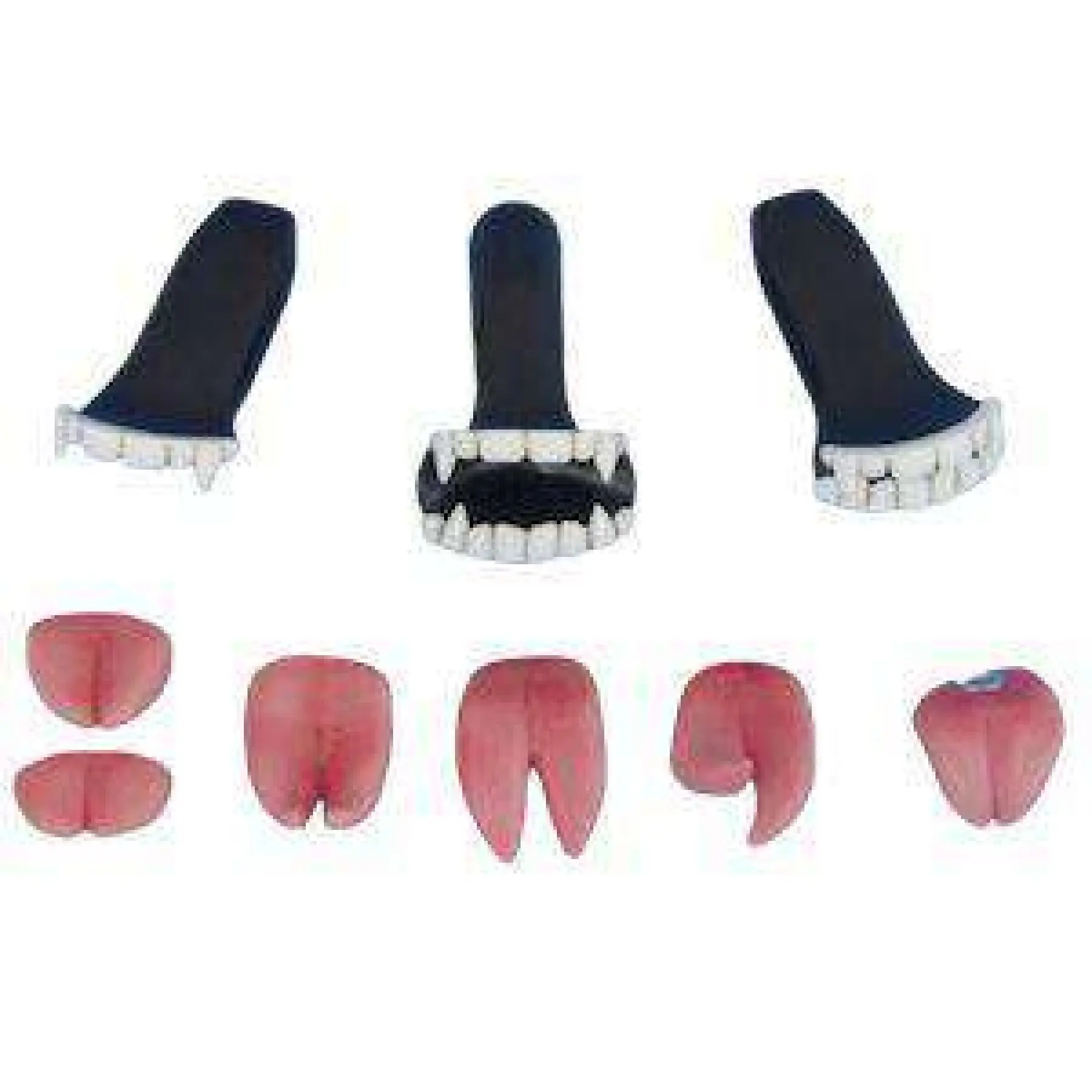 Sex Doll Vampire Teeth & Tongue Kit - Image 2