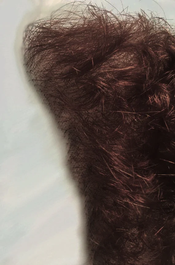 PUBIC HAIR - Image 2