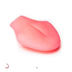 USEFUL ACCESSORIES: - Image 5