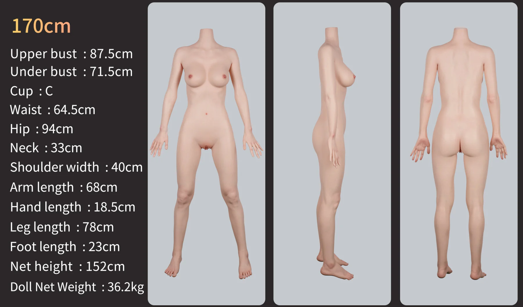 Yvonne Premium Realistic Silicone Love Doll - GE07 - Zelex Inspiration Series - Image 17